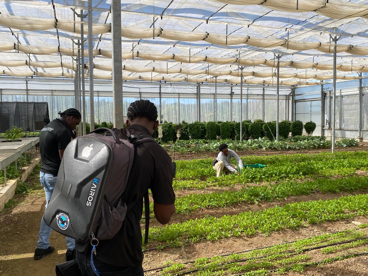 OneEleuthera's tweet photo. 🌿 Today, Eyewitness News and OUR News visited the CTI campus to film for an upcoming segment 🎥. They toured the “Oasis” Grow House — a model of sustainable agriculture and innovation that’s helping to reshape the future of farming on Eleuthera🌱.
Stay tuned! 📺 https://t.co/ybGbjMWAGR