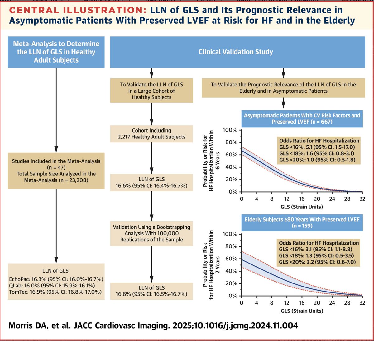 MA Garcia Fernandez (@maecocardio) on Twitter photo 📢¡¡¡Por fin un limite de Strain  con valor pronóstico en "normales"!!!  
📍Meta-análisis con 23,208 adultos confirma que el límite inferior normal del SGL es 16%.
📍Este valor puede tener relevancia pronóstica en pacientes asintomáticos con FEVI preservada 📢¡¡¡Por fin un limite de Strain  con valor pronóstico en "normales"!!!  
📍Meta-análisis con 23,208 adultos confirma que el límite inferior normal del SGL es 16%.
📍Este valor puede tener relevancia pronóstica en pacientes asintomáticos con FEVI preservada