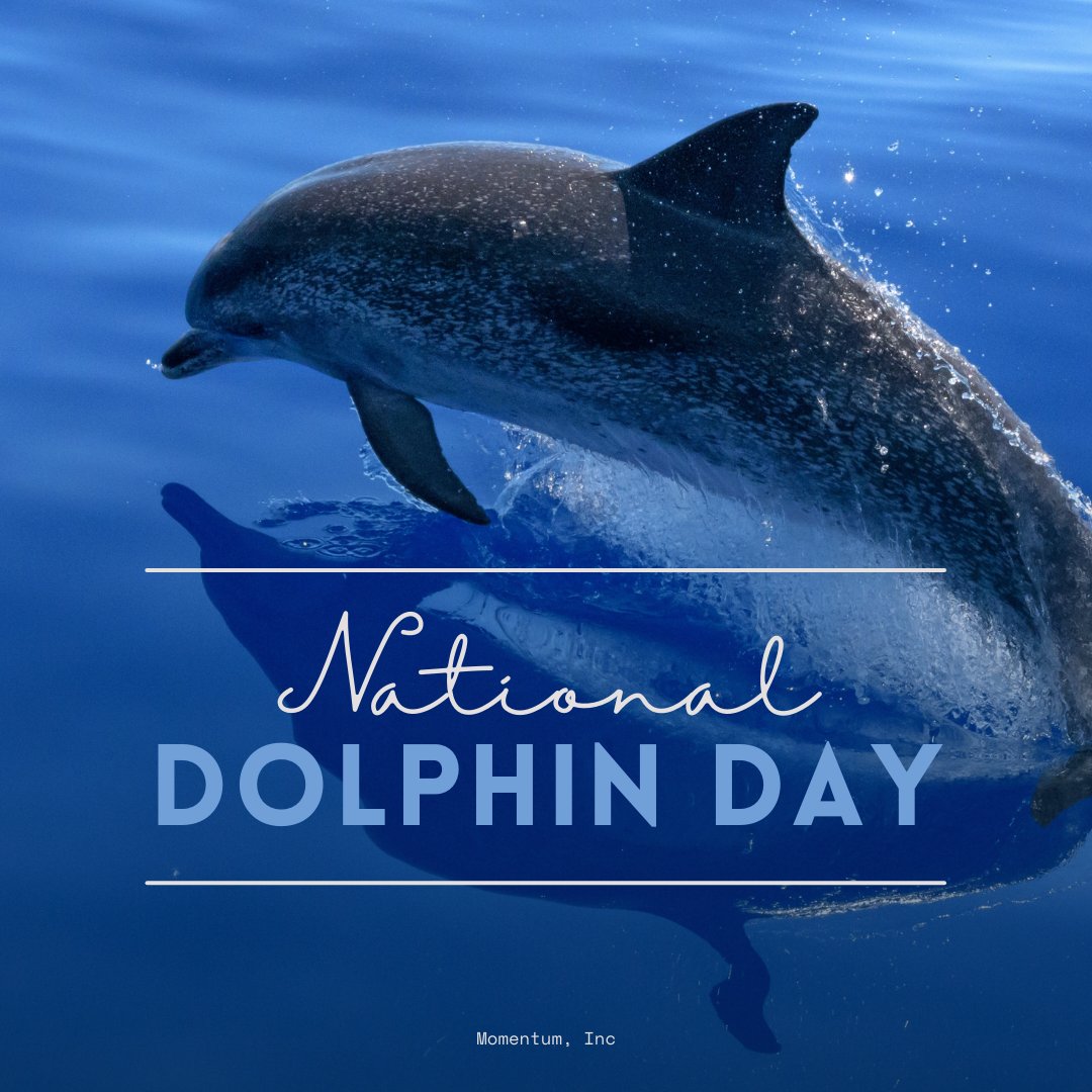 MomentumBlue's tweet photo. Today is National Dolphin Day!  Celebrate our aquatic friends today!  They're intelligent creatures with complex social networks much like our own!  Fun fact, did you know they only sleep with half of their brain?  So cool! https://t.co/J65WvmDeRn