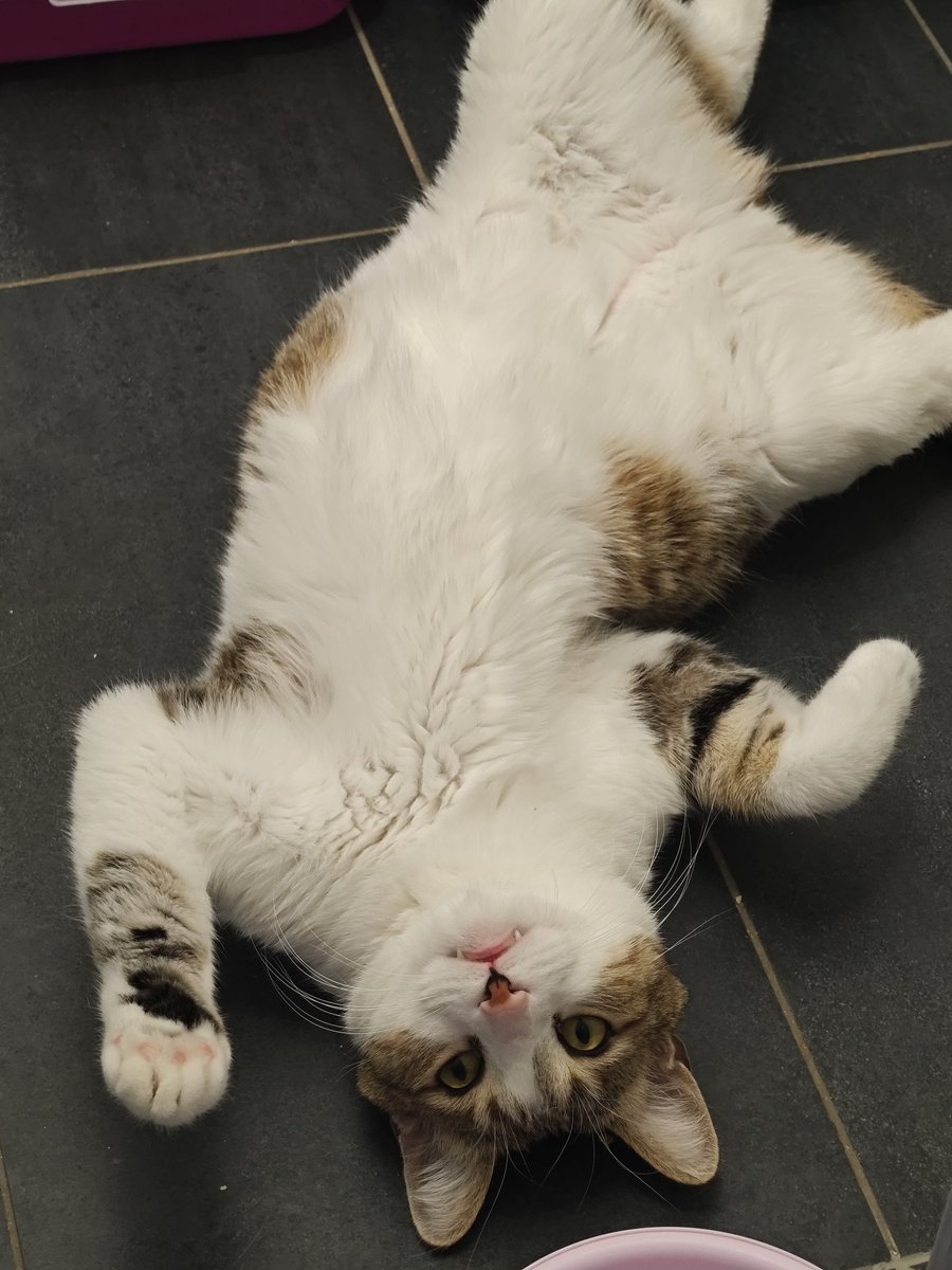 я у папы дурачок 🙂