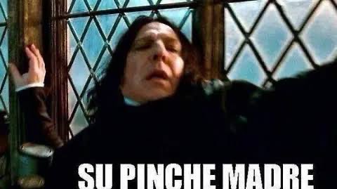 jandroDmos's tweet photo. Mientras tanto en #Tijuana #Temblor https://t.co/EZNML41caP