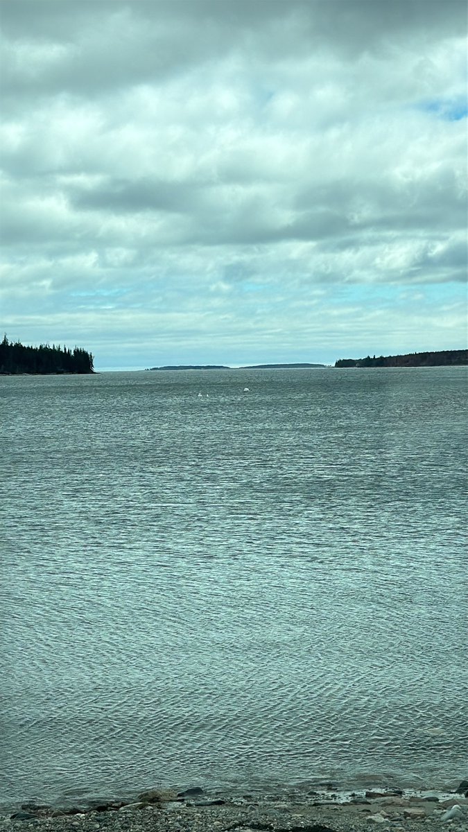 Cold and cloudy but at least it’s Maine!