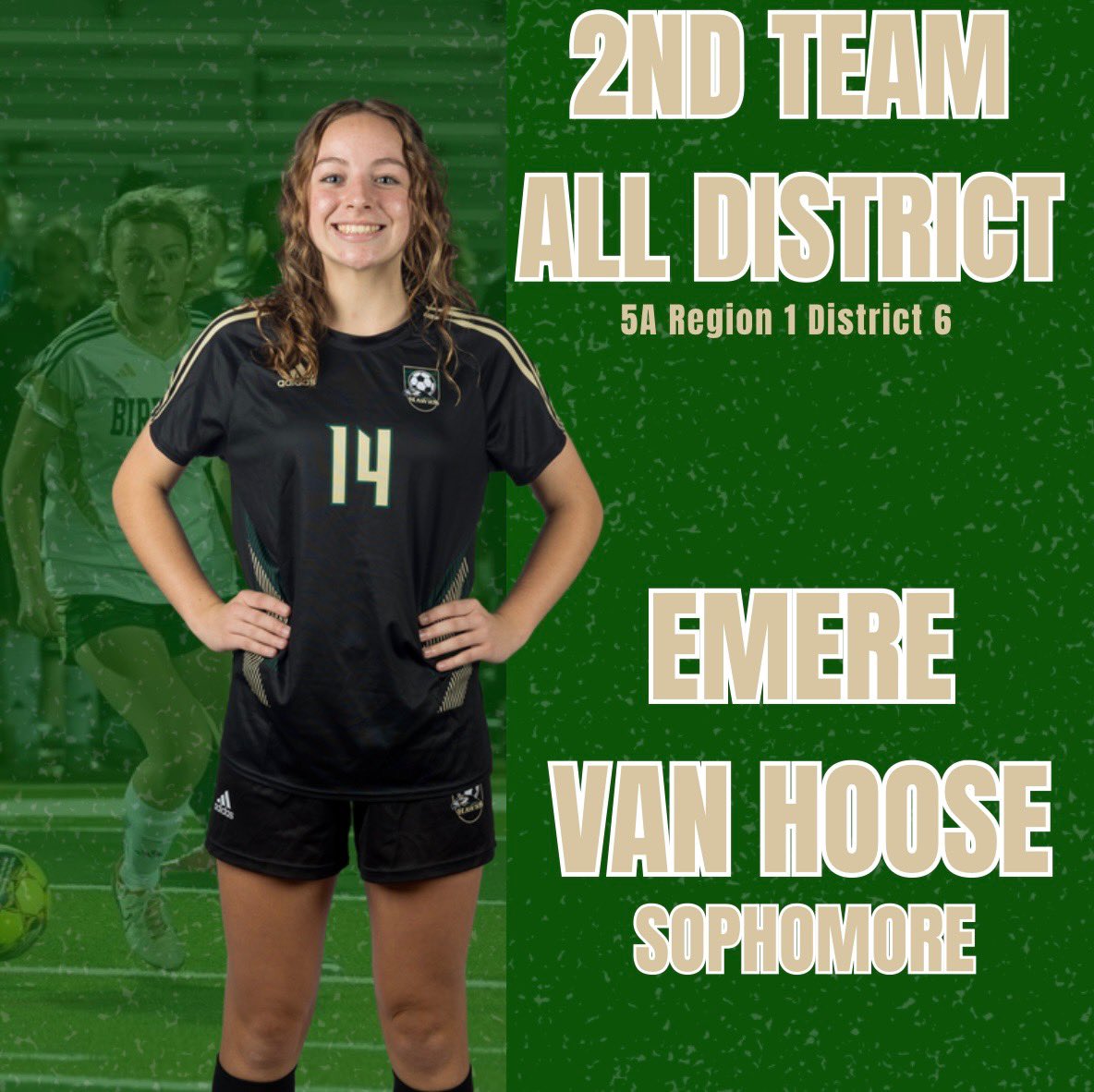 Birdville_LHS's tweet photo. Congratulations to our SOPHOMORES on their All District Awards! https://t.co/gEKrPGGknK