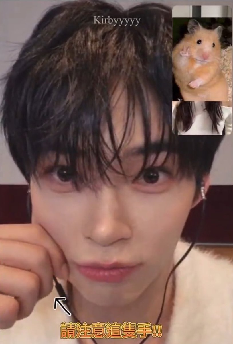 @haobincats) / Posts / X