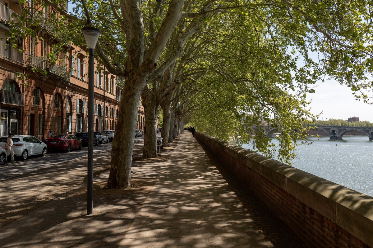 itsrapha83's tweet photo. Toulouse knows how to build riverfronts https://t.co/Zn3gKLy2kb