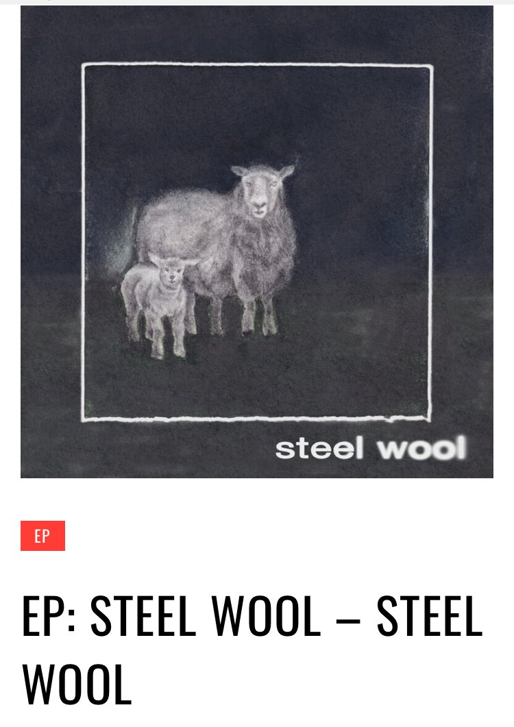 A great review for Steel Wool’s debut EP from Start-Track! 🐑

start-track.com/ep-steel-wool-… <a href="/skinbonebignose/">Zach</a> <a href="/bugbodylabel/">Bug Body</a>