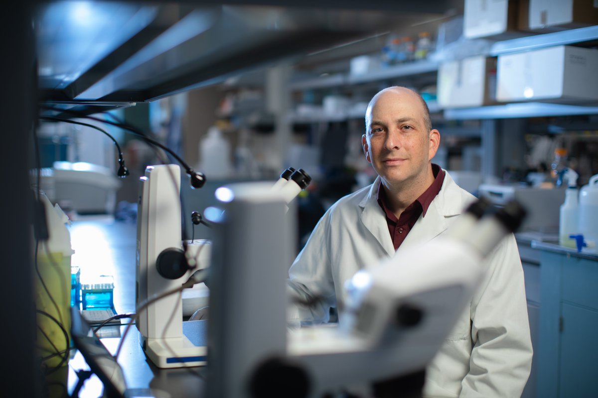 Donald K. Johnson Eye Institute (@dkjei_uhn) on Twitter photo #ICYMI: Dr. Jeremy Sivak, Senior Scientist at <a href="/DKJEI_UHN/">Donald K. Johnson Eye Institute</a>, was recently interviewed and quoted by <a href="/medpagetoday/">MedPage Today</a>.
Read More >> bit.ly/4jsAEHP #ICYMI: Dr. Jeremy Sivak, Senior Scientist at <a href="/DKJEI_UHN/">Donald K. Johnson Eye Institute</a>, was recently interviewed and quoted by <a href="/medpagetoday/">MedPage Today</a>.
Read More >> bit.ly/4jsAEHP