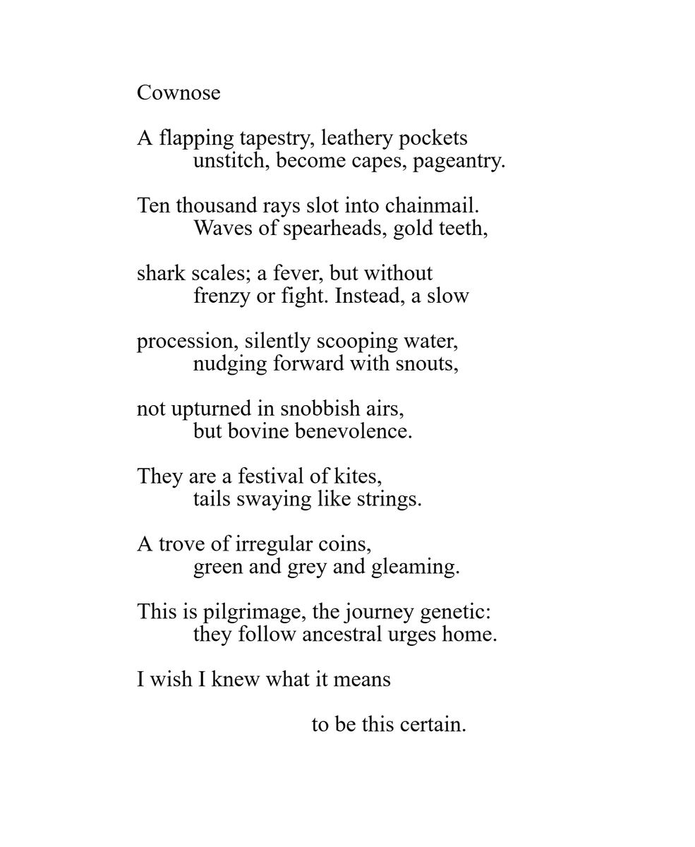 Bex Hainsworth tweet media