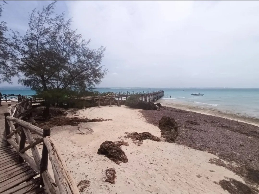 Fukwe Tours Company Ltd tweet media