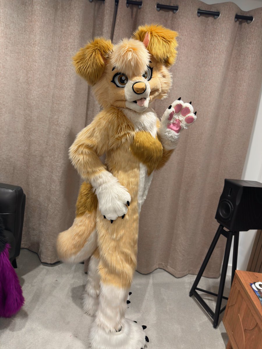 ✨BODYSUIT UPGRADE TIME✨

Massive thanks to <a href="/BunnypawsFur/">🌸 BunnyPaws 🌸</a> for these awesome edits! My suit now fits perfectly - only took me 4 years 🤭

Also got some padding &amp; a fresh trim! ✂️