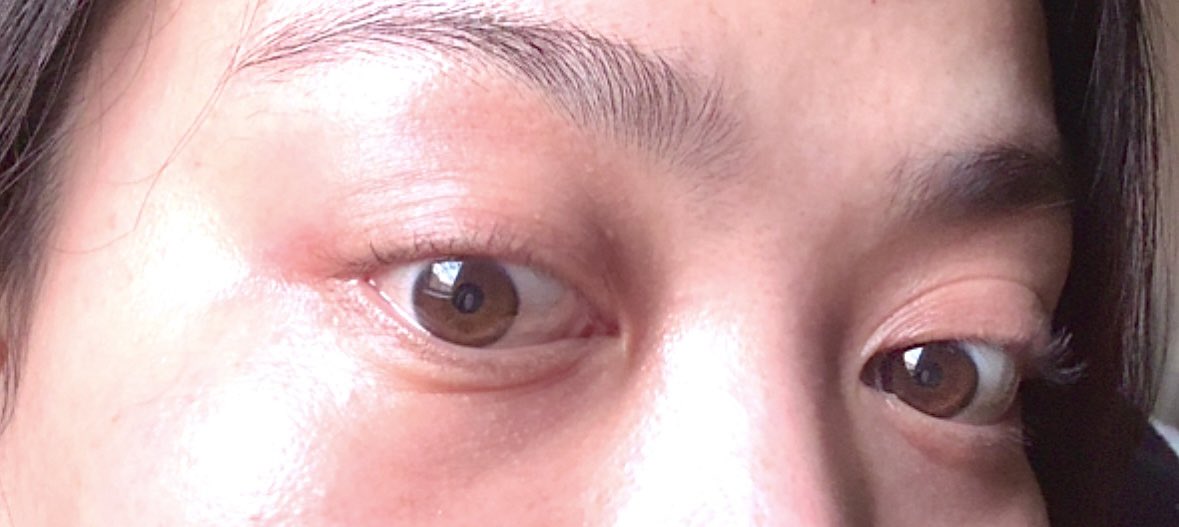 elaibearr's tweet photo. 👀 https://t.co/mor2g9YLaP