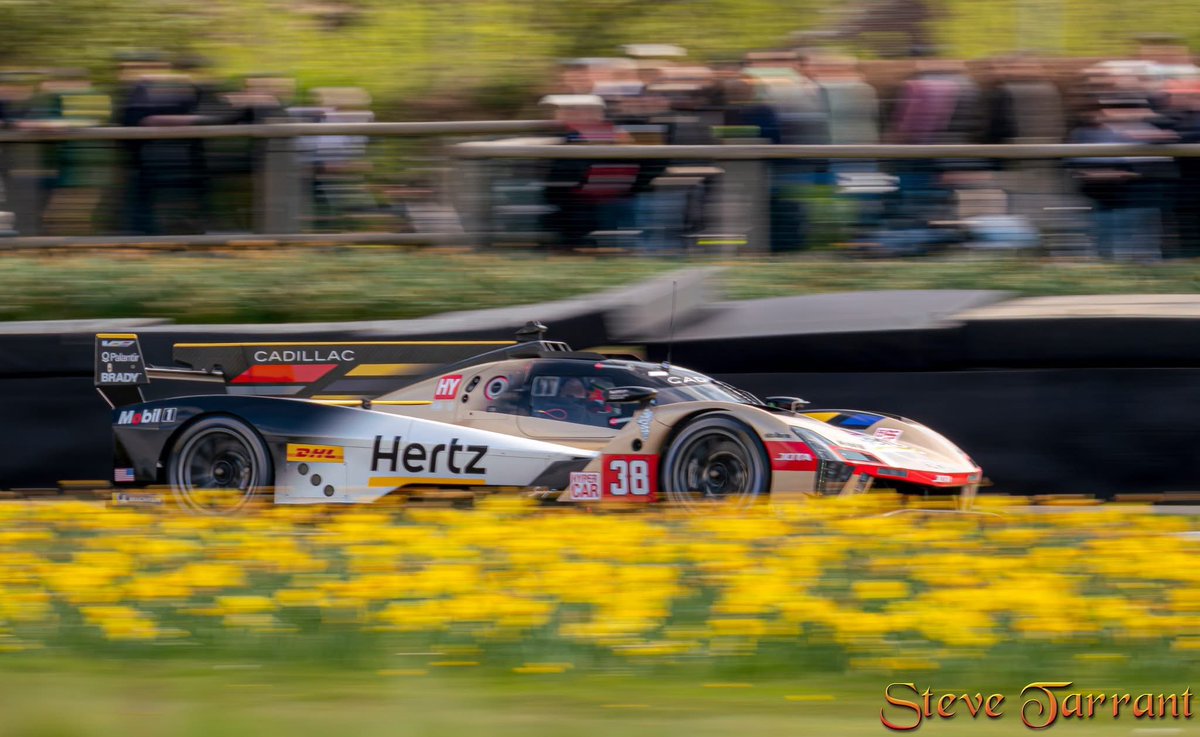 Steve Tarrant tweet media