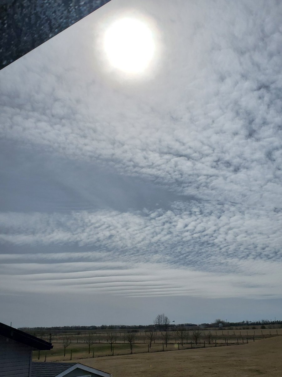 RitaAntolovich's tweet photo. @Prolotario1 Can't wait to have Alberta become the 51st.  What are we doing about this in our skies @ABDanielleSmith 
This picture just now https://t.co/MNBsff3Xa6