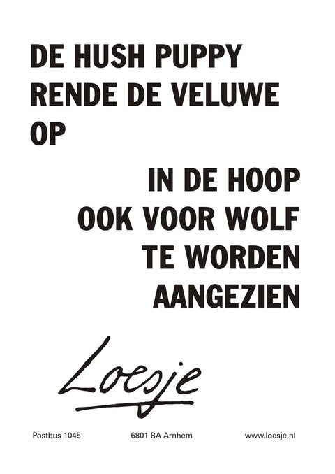 **         de hush puppy
            rende de Veluwe
            op

                      in de hoop
                 ook voor wolf
                       te worden
                        aangezien    **

#veluwe #roodkapje