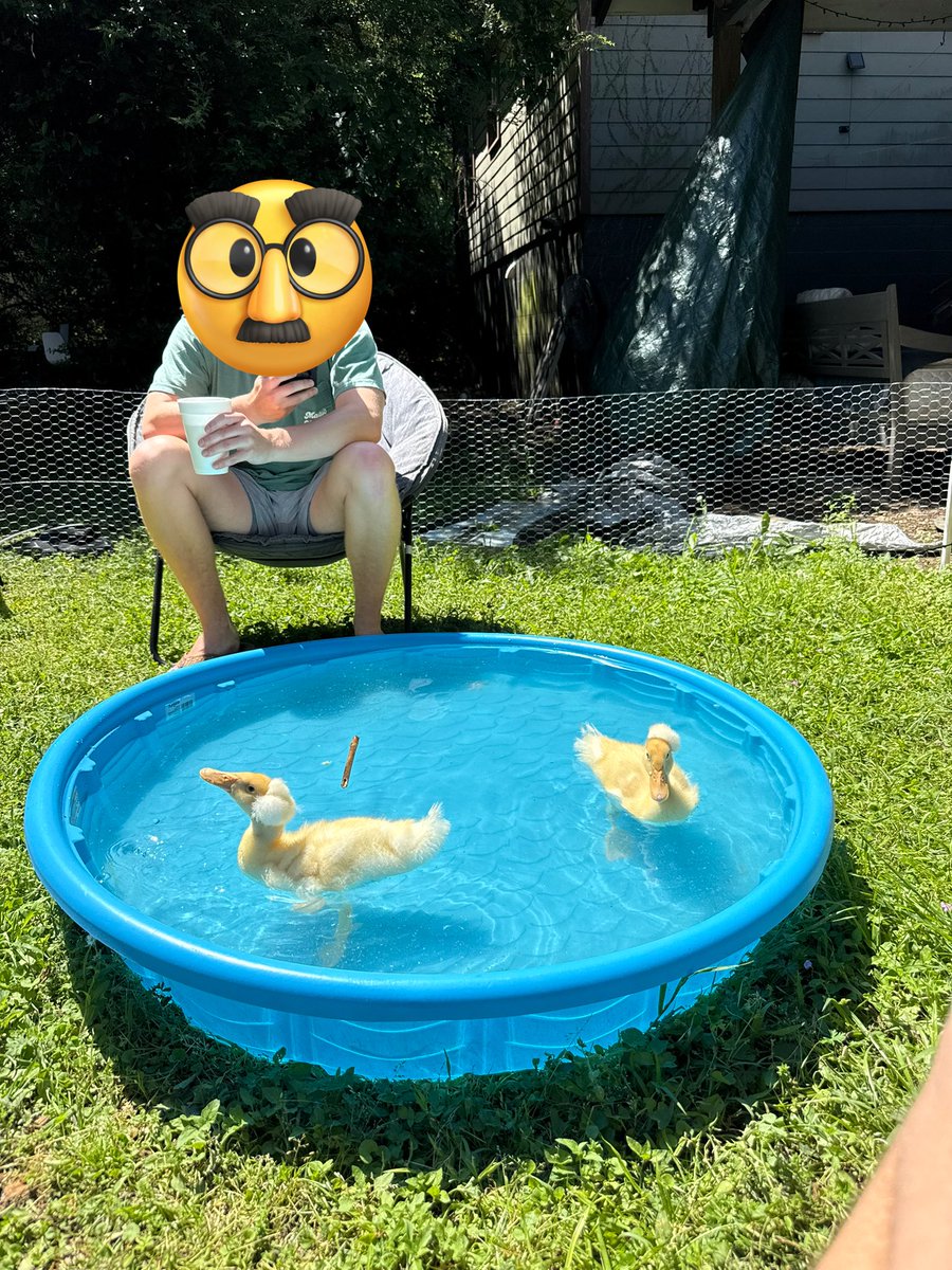 Got some funny looking ducks to help my autism
