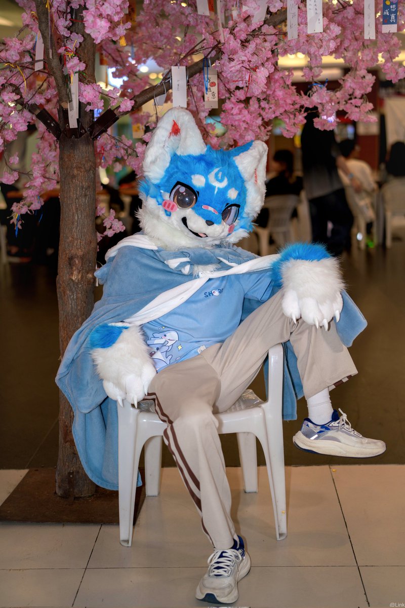 Leouan111's tweet photo. #fursuit 
拽.jpg https://t.co/E8B29zcIS7