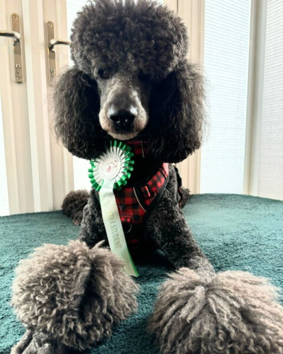 Nose to Trail tweet media