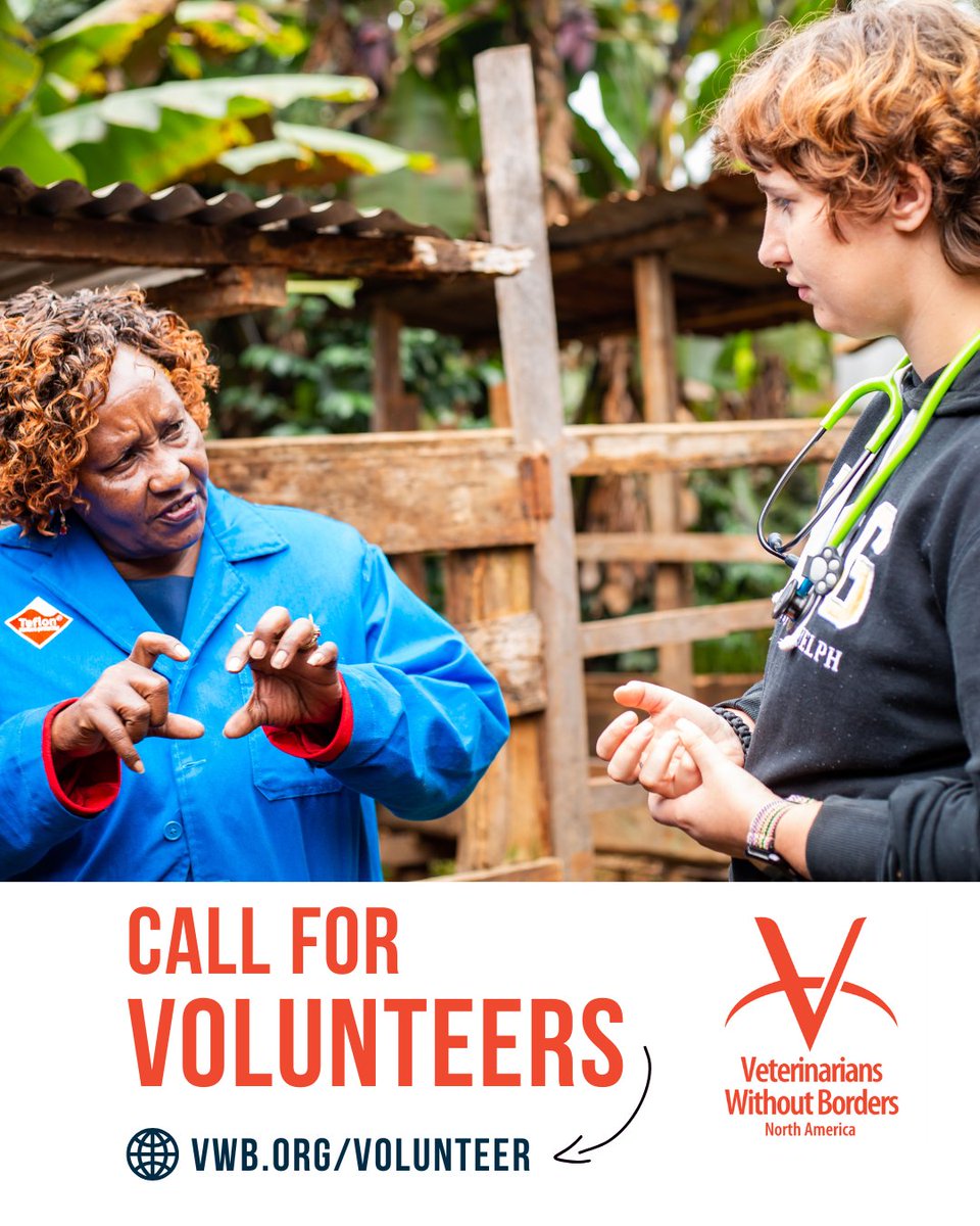 Veterinarians Without Borders tweet media