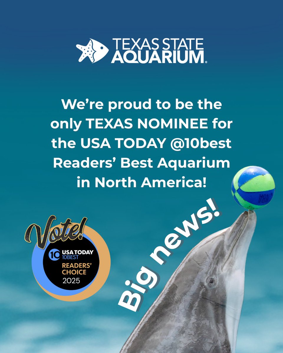 Texas State Aquarium (@txstateaquarium) on Twitter photo We have been nominated for the USA TODAY <a href="/10Best/">USA TODAY 10Best</a> Readers’ Choice Award for Best Aquarium in North America—for the seventh year in a row! 🤩
Help us get to the Top 5!
Do you have two seconds to spare? Vote for us right here! 👉 api.10best.com/awards/travel/… 👈 We have been nominated for the USA TODAY <a href="/10Best/">USA TODAY 10Best</a> Readers’ Choice Award for Best Aquarium in North America—for the seventh year in a row! 🤩
Help us get to the Top 5!
Do you have two seconds to spare? Vote for us right here! 👉 api.10best.com/awards/travel/… 👈