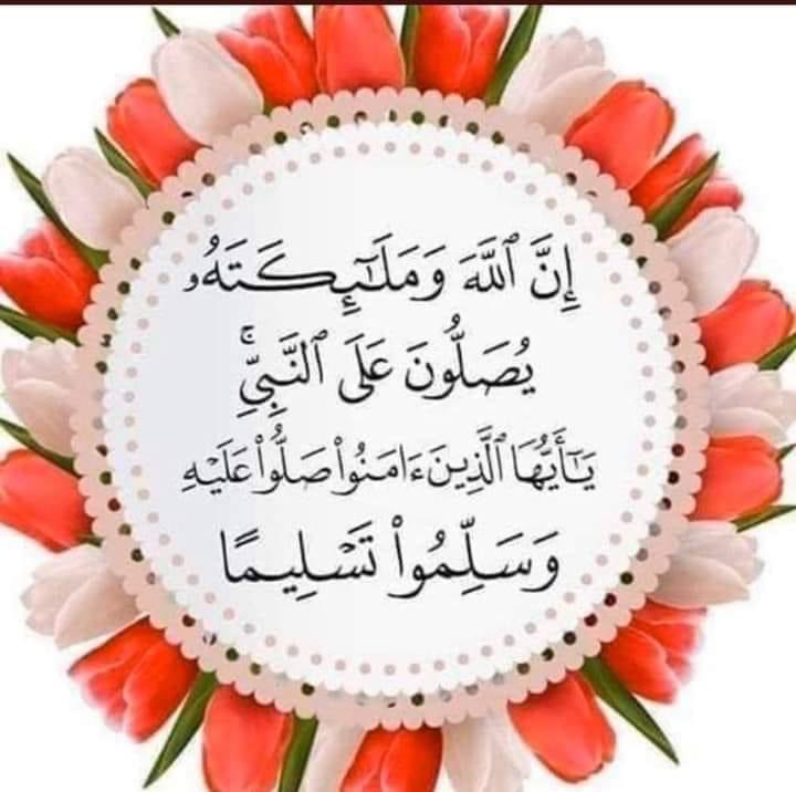 ساره (@sarasaman8) on Twitter photo 