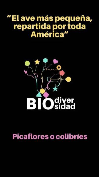 🪶"El ave más pequeña, repartida por toda América"🌎

😲Los colibríes o picaflores son una familia de aves, un numeroso y diverso grupo de descendientes directos de los dinosaurios, endémicas de América. 

Descubre más👇🏾
instagram.com/p/C--417fpNNY/
