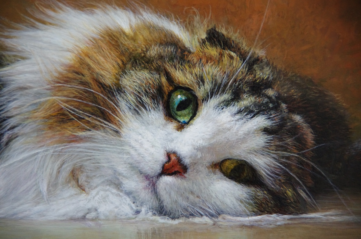 luminarluminar's tweet photo. 油彩　SM

「翡翠」  

 #ペット肖像画 #猫の絵 #猫のいる暮らし https://t.co/IQ5r6EPlP5