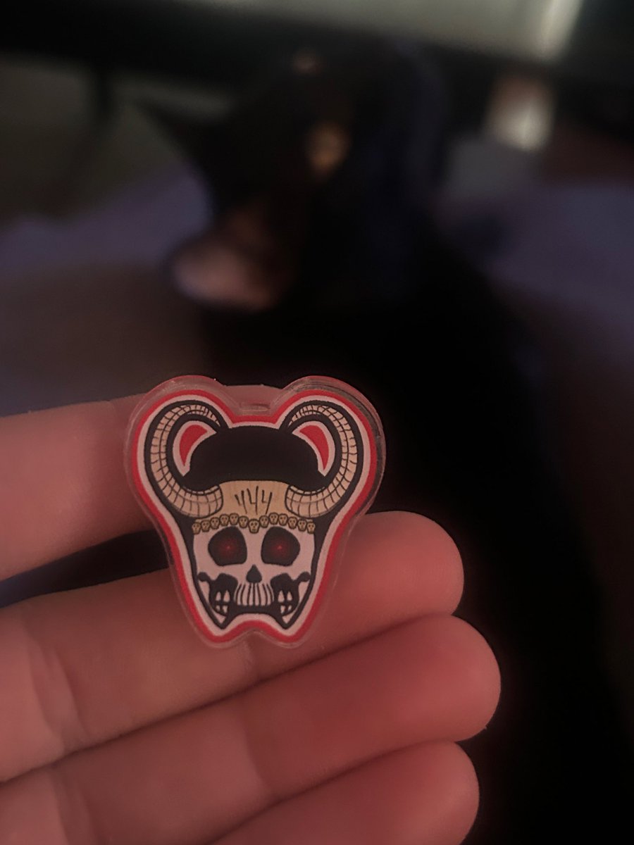 SModfan's tweet image. Huge thanks to @carey_st46352 for sending me a replacement pin for the one that fell off my 4CD vest and was subsequently lost at Q West!