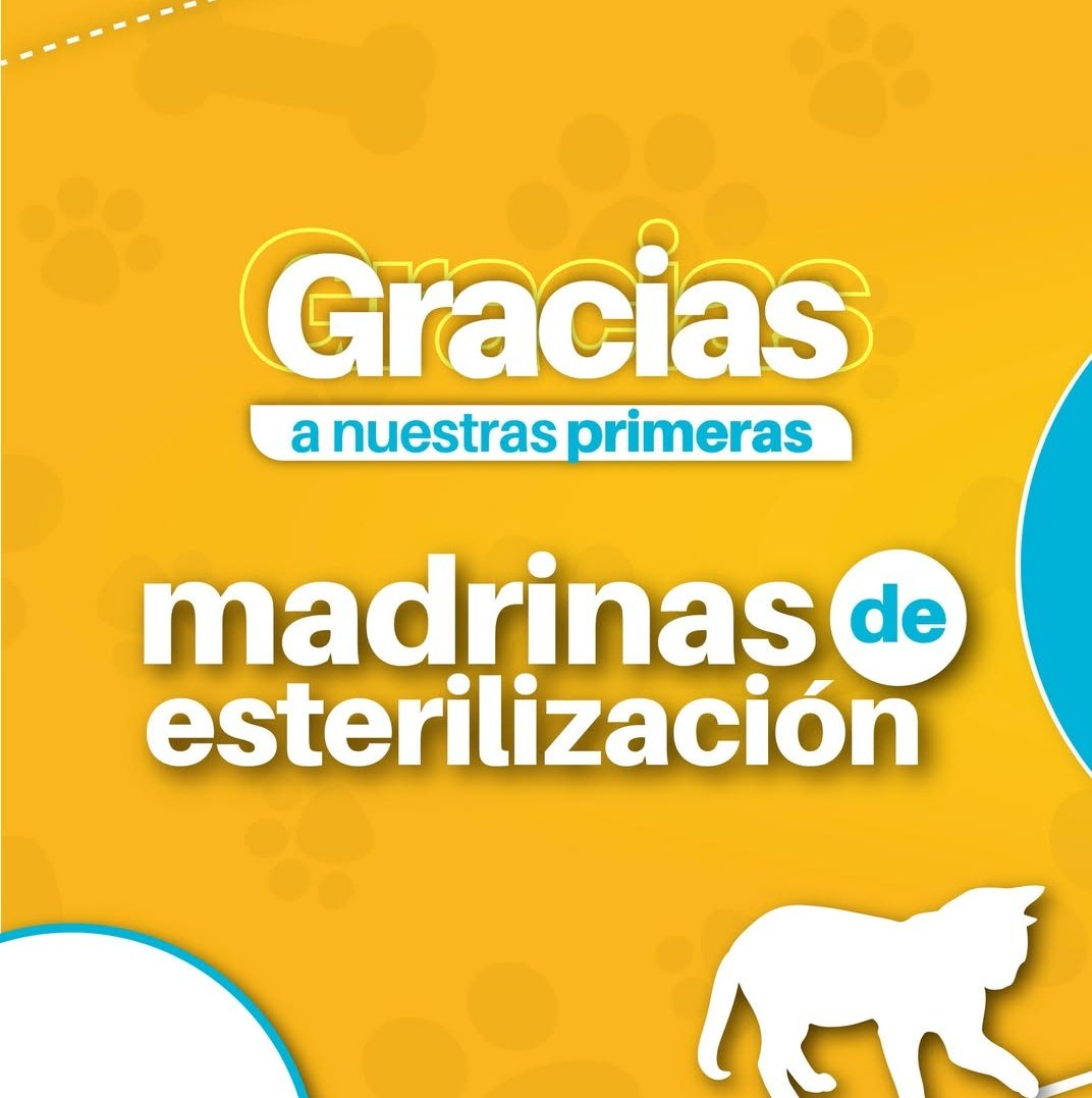 AnimaleroGdl's tweet photo. Nuestras primeras madrinas de esterilización, cuando comenzamos este hermoso proyecto hace casi un año 😺 https://t.co/CfZjeTLPkG