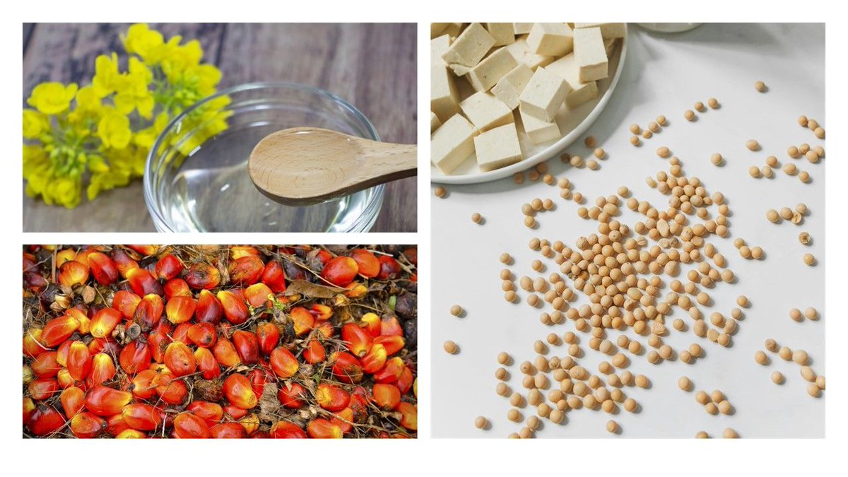 USDAJapan tweet media