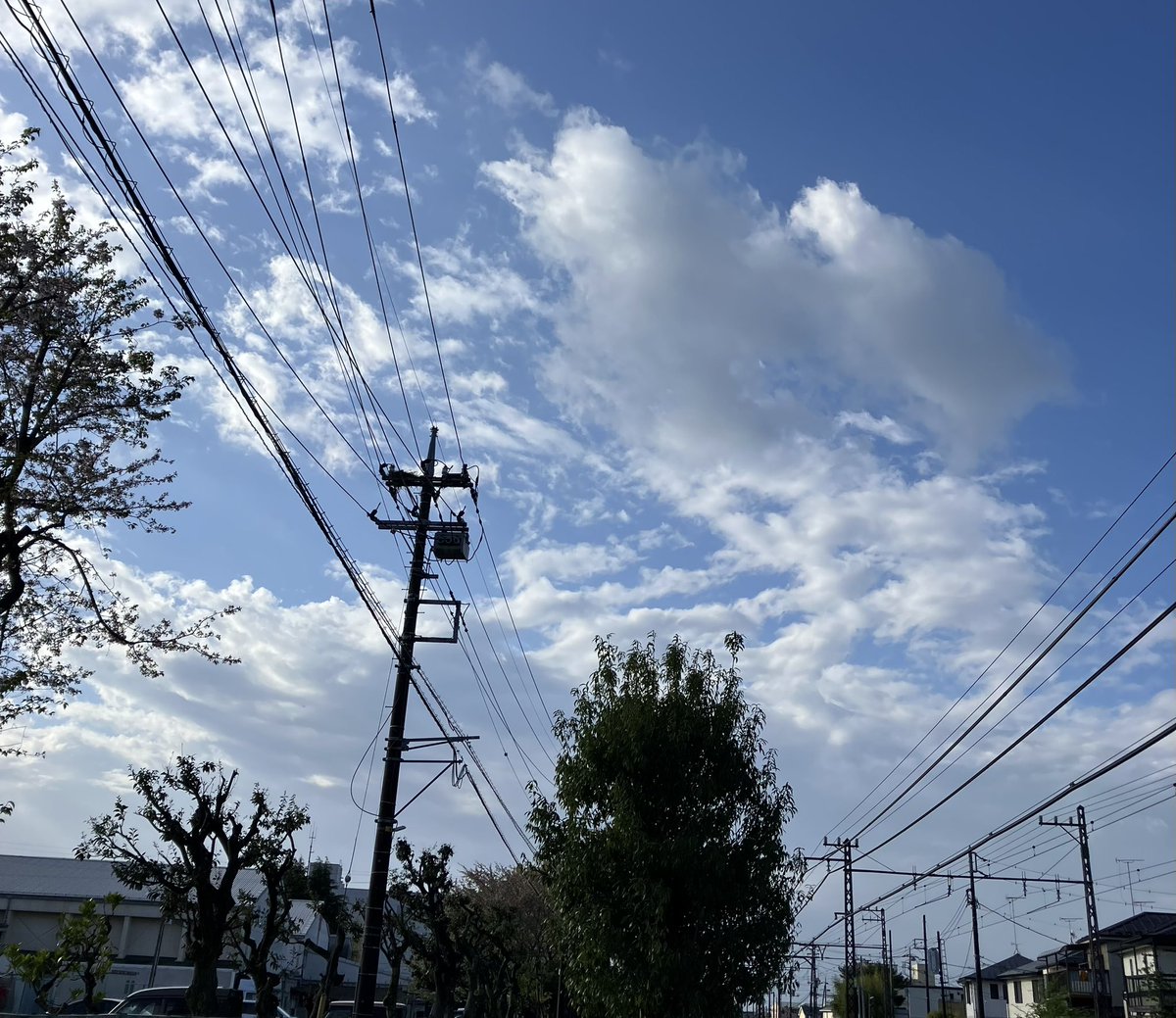 おはようございます♪
明け方まで雨が降っていたようですが、
日差しが出て風が気持ち良い。
引っ越ししてから空を見る事が多くなったなー
今日も綺麗な空にパワーを貰い
お仕事楽しんできます！
皆様も素敵な一日を💓

#イマソラ