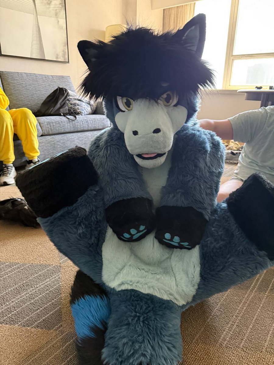 PetgirlC's tweet photo. During #texasfurryfiesta we had put https://t.co/BlodU7VR40 into @Pallas_Cat_RS’s quadsuit. She very much so became the most adorable, adventurous little dragon plush. She was locked in, and made the most adorable little noises! This #TFF was so much fun! https://t.co/l5aal6jtdR
