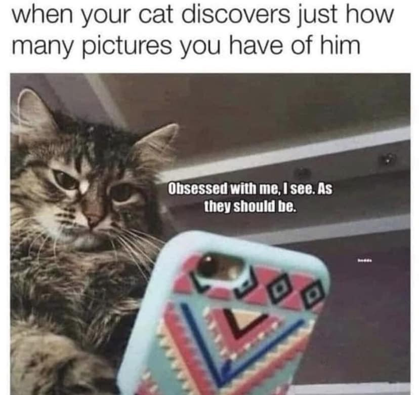 WholesomeMeme's tweet photo. https://t.co/pARBwMgYHb