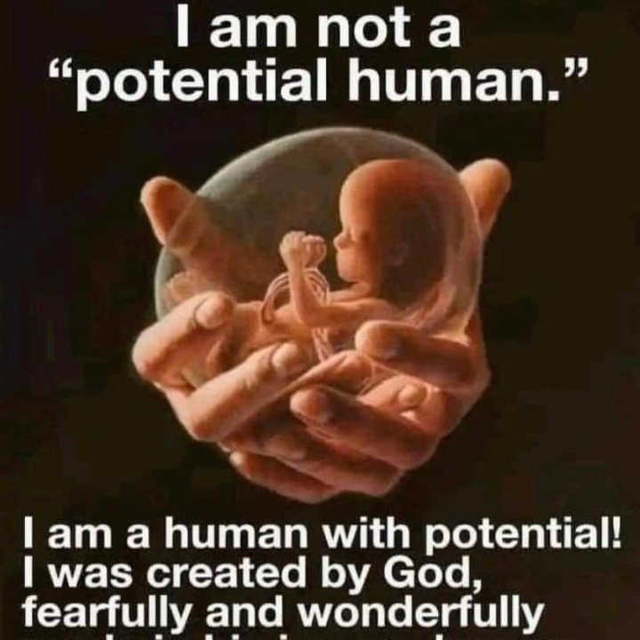 LifeNews.com (@lifenewshq) on Twitter photo 