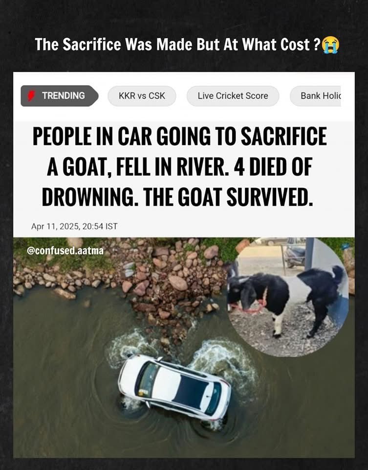 What can I say? $GOATS are tough animals 🤷 💪🏾😎