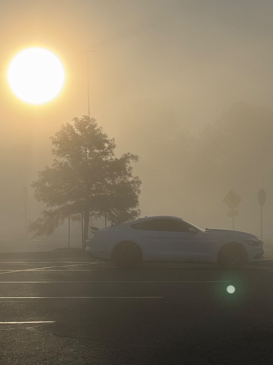 Gm Legends let’s get this Tuesday started. 🌅

Hope you have a great day. 👊🏼

Let’s keep grinding start the Tuesday right. 💪🏼
