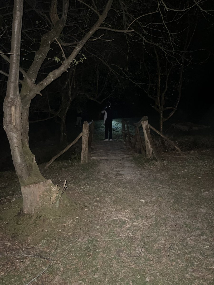 Day 1 (night walk👀👀