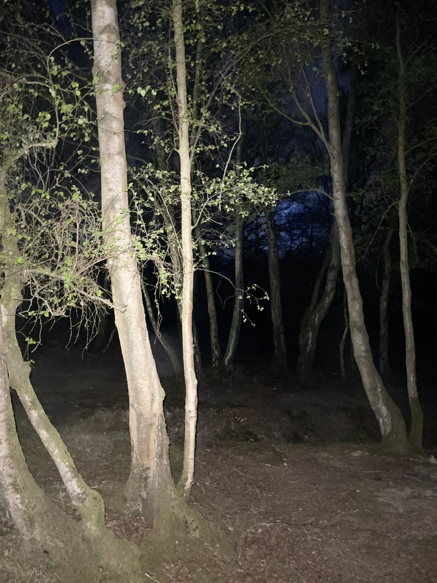 Eritrean Parents And Childrens Association tweet media