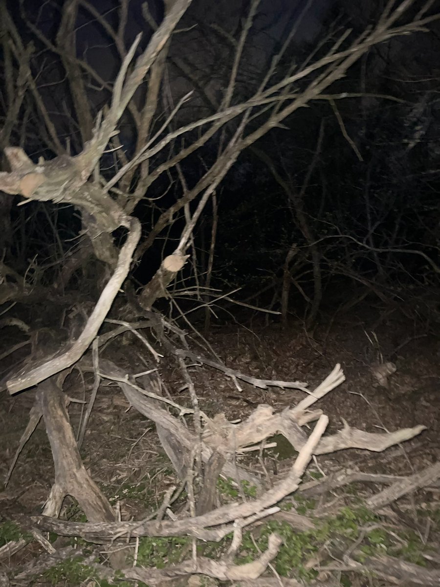 Eritrean Parents And Childrens Association tweet media