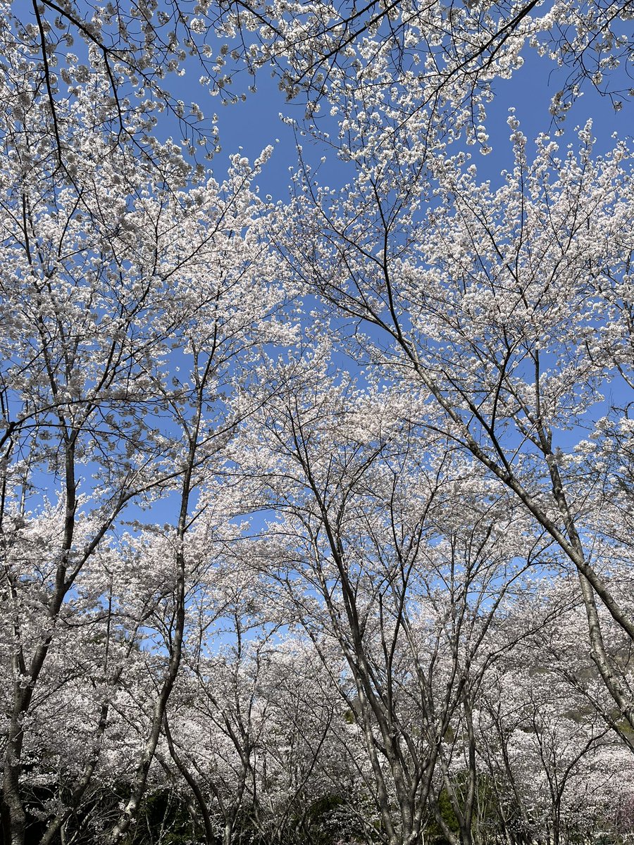 これ知らなきゃ損。佐野さんの研修が昨日ありました。私達が常に人と比べたり、正しいか間違いかジャッジしたりしてると
これ知らないうちにしていてホント苦しんでいる。現実は勝ち負けの世界ではなく気づくこと