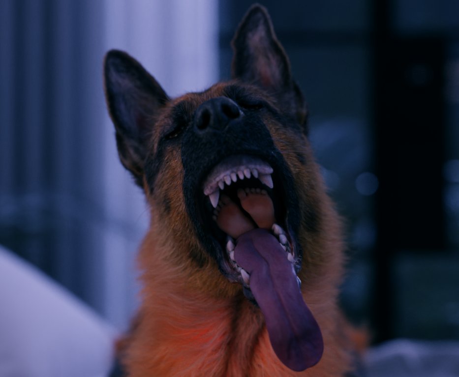 everyone loves a giant dog.... some are less fortunate/lucky to be their dinner~ 

more on pa tree on <3 

#voreart #vore #canine #dogvore #feet #unwillingprey #mawshot #3DCG