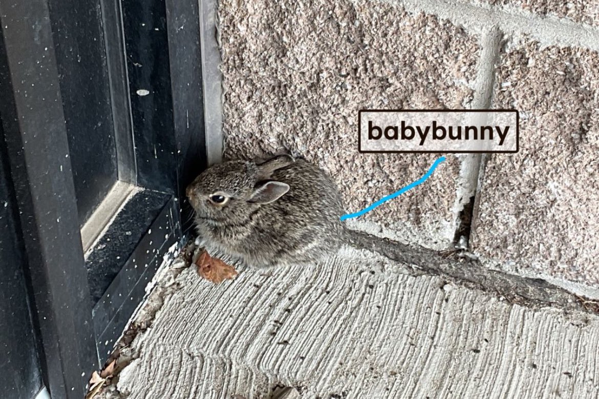 Joanna LaPerna tweet media