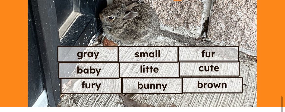 Joanna LaPerna tweet media