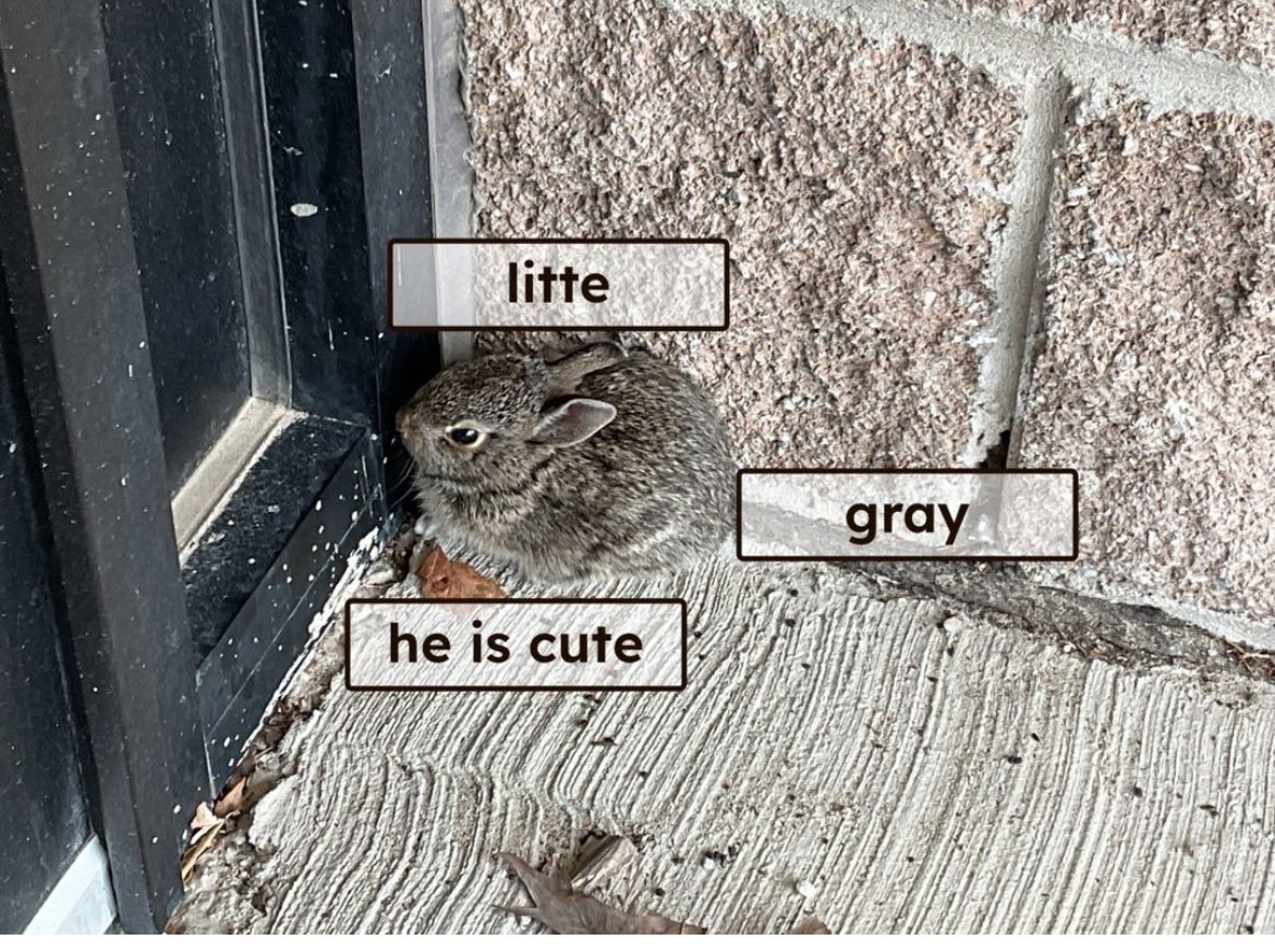 Joanna LaPerna tweet media