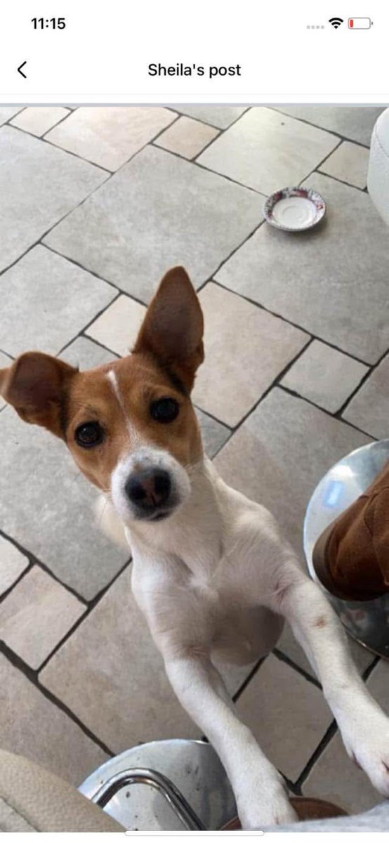 Help Me
 I was on a Date but I'm Trying to get home to Kilkenny.