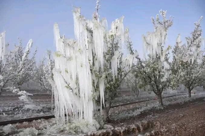 Su kaynaklarını yeraltı barajlarına toplayıp suyunuz bitiyor,Havadan bizleri zehirleyip grip olmuşsunuz diyorlar

Bebeğimize kendini anlayana kadar 20 den fazla kimyasal sıvı enjekte edip smm,kanser,obezite vs hasta olmuş diyorlar

Yapay don ile tarımı yok edip,doğal don diyorlar