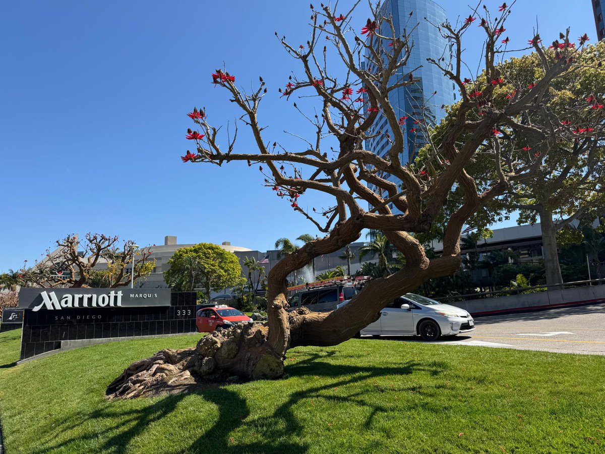 San Diego, California, USA 🇺🇸

#Seaport Village