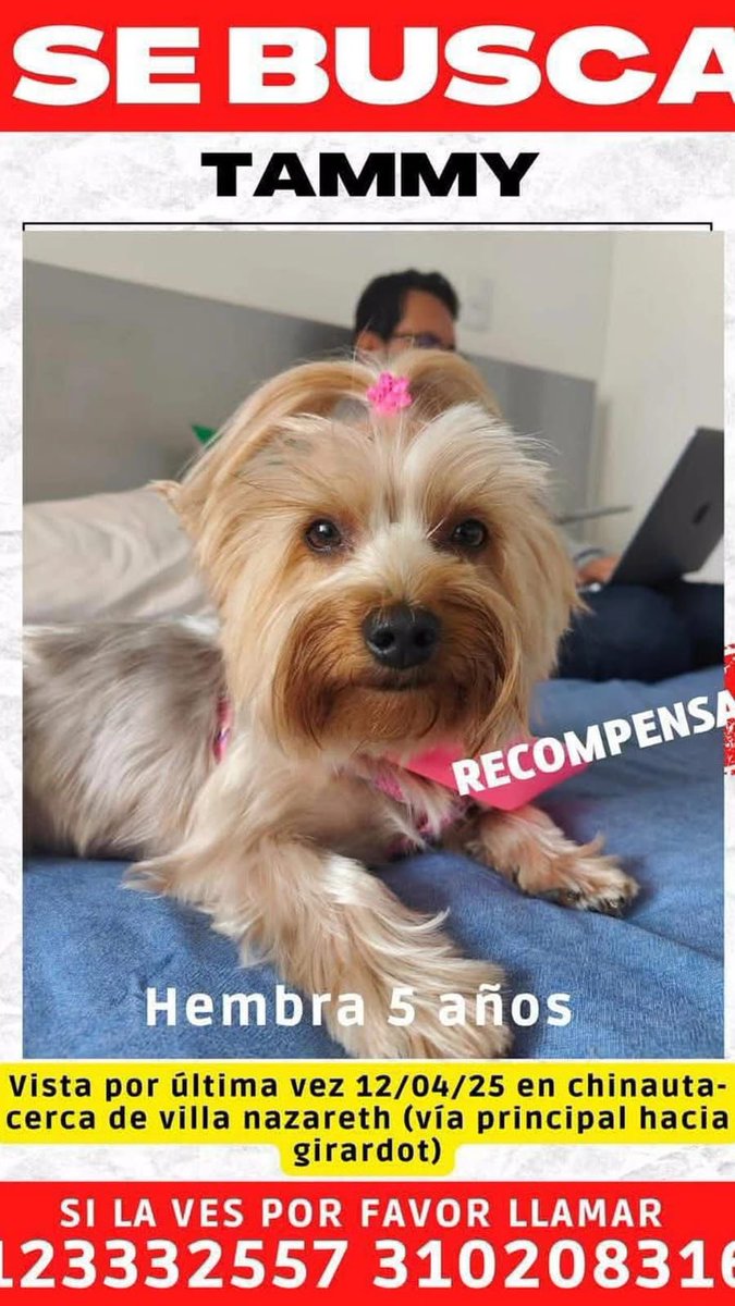 En Bogotá porfa , es de un amigo