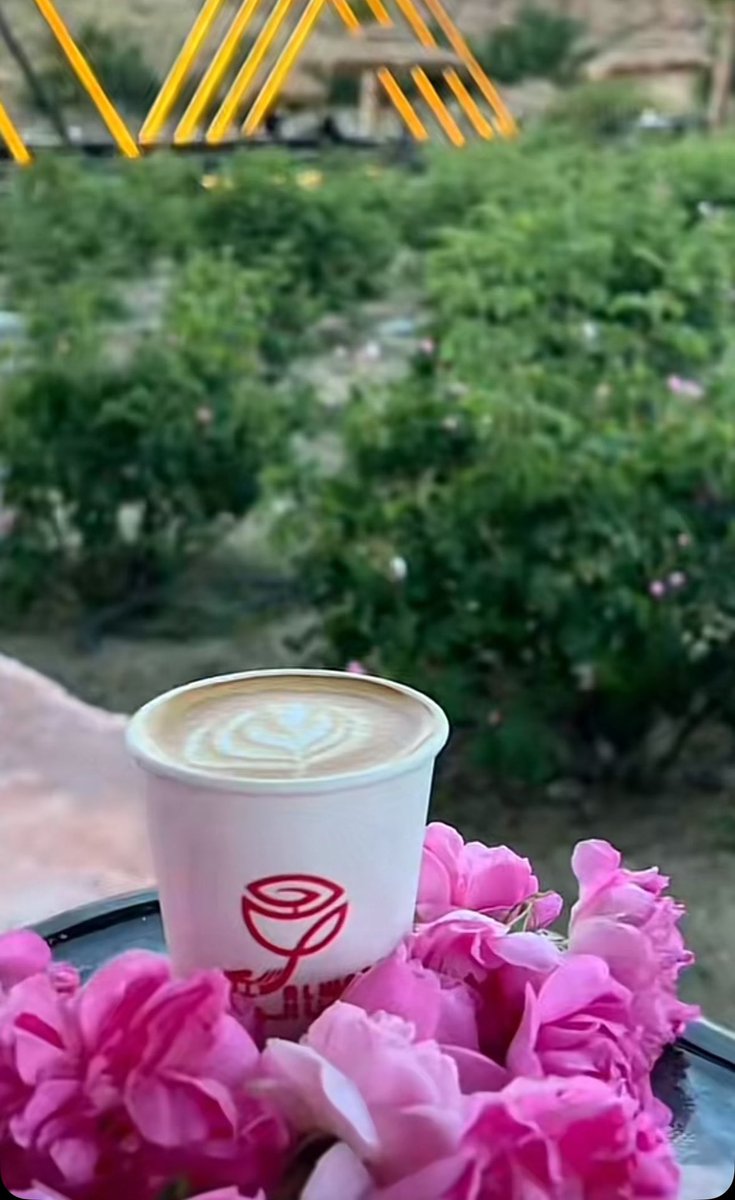 مزرعة جنا الورد _الشفا  #LISACHELLA #JENCHELLA2025 #LaCasaDeLosFamososCol2 #موسم_الورد_الطائفي