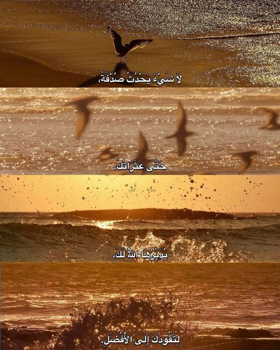 "لا شيء يحدُث صُدفة."♥️