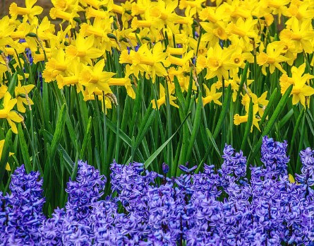 NeffFarm's tweet photo. 🐣 Spring is all about new beginnings! 🌸 Protect your loved ones with life insurance this April and give them a fresh start, no matter what comes their way 🌷🏡❤️ 
#LifeInsurance 
#NewBeginnings
#ReneeNeffStateFarm https://t.co/XDwEWBuOqd